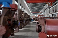 哈尔滨圣安私人顾问服务有限公司被评为2019年度三水区骨干企业